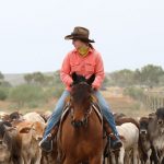 Station hand 3 years